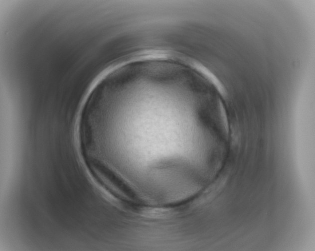 X0000113291475200909281002