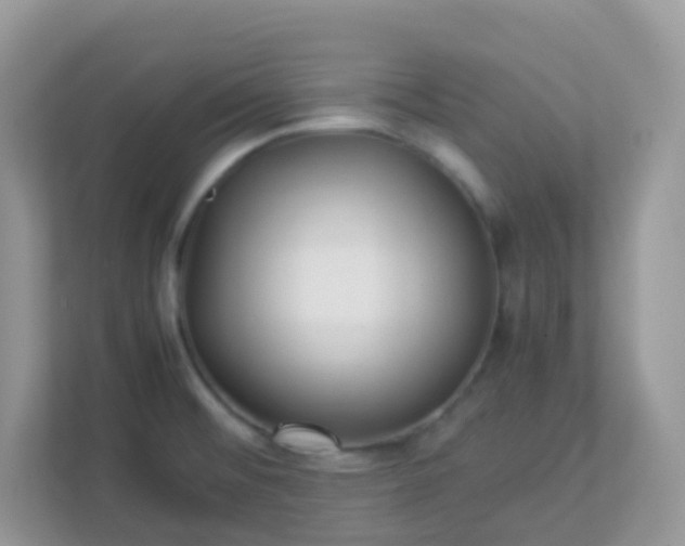 X0000113291476200909281002