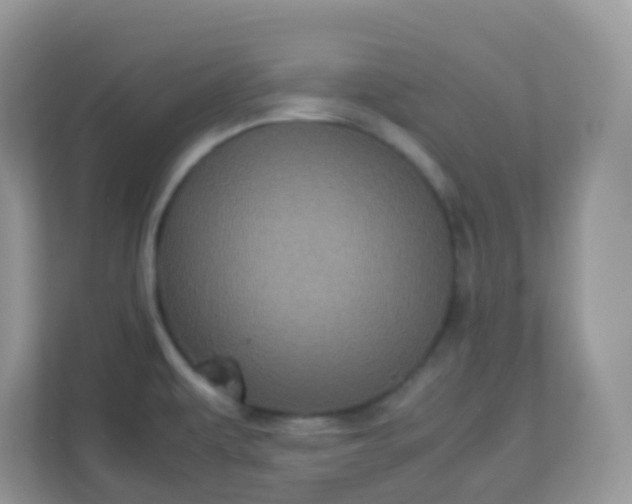 X0000113291479200909281002