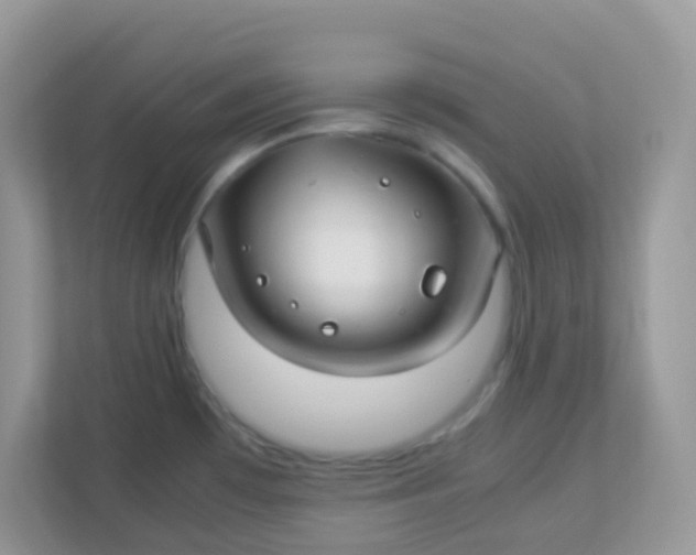 X0000113291481200909281002