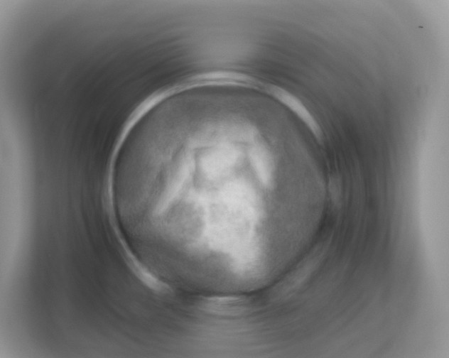 X0000113291482200909281002