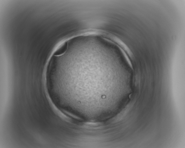 X0000113291483200909281002