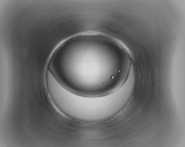 X0000113291484200909281002