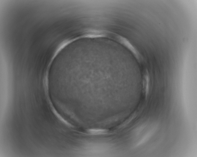 X0000113291487200909281002