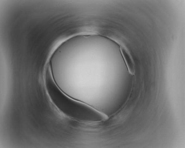 X0000113291488200909281002