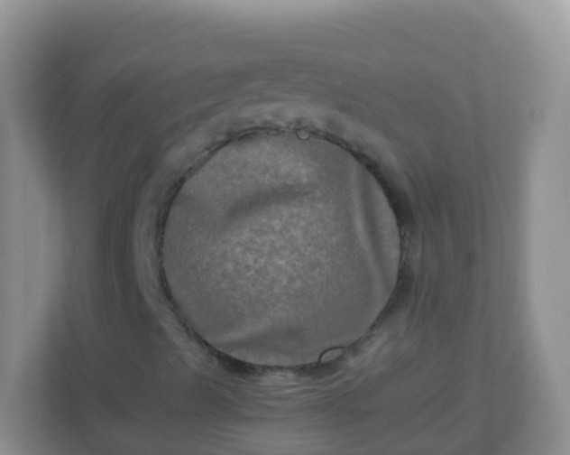 X0000113291489200909281001