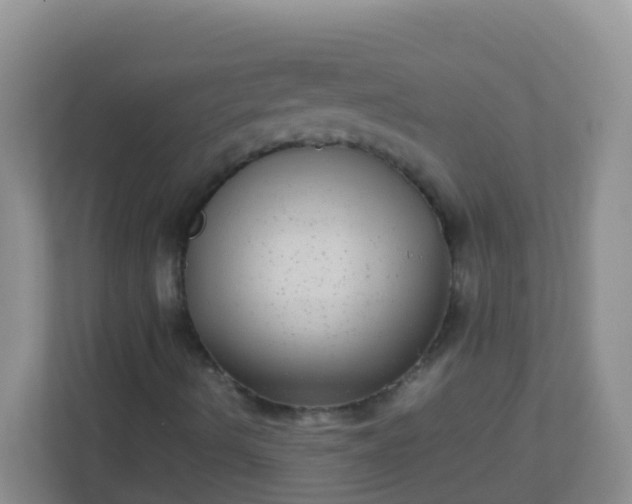 X0000113291490200909281001