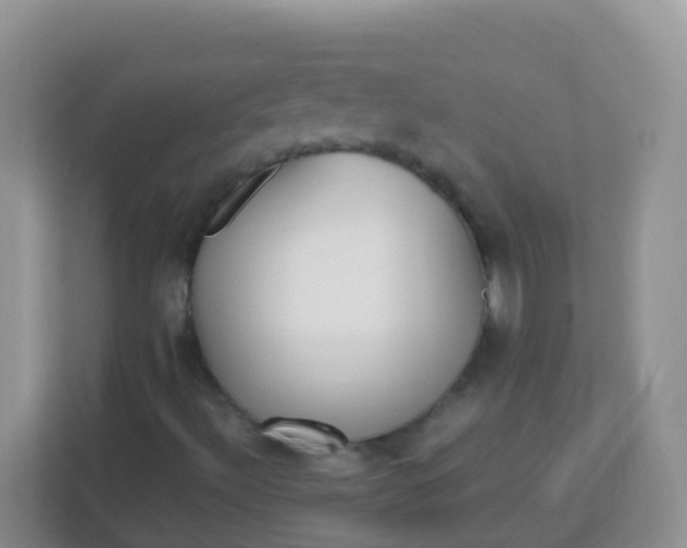 X0000113291492200909281001