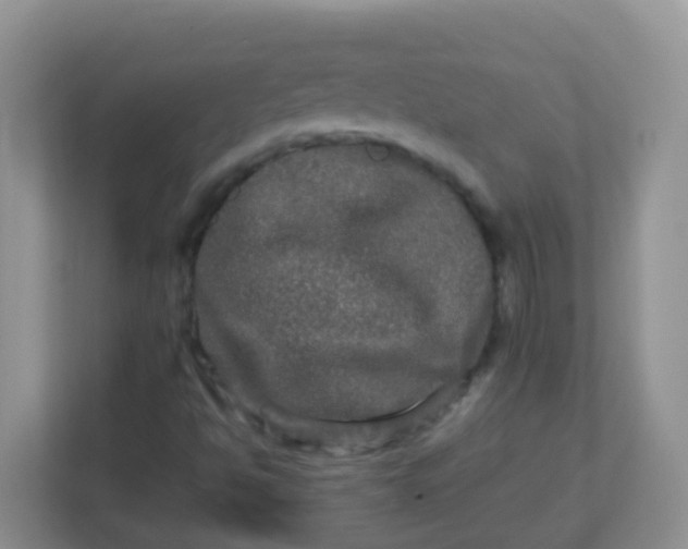 X0000113291494200909281001