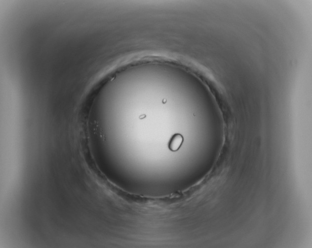 X0000113291496200909281001