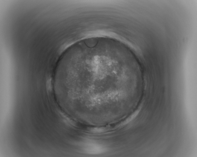 X0000113291497200909281001