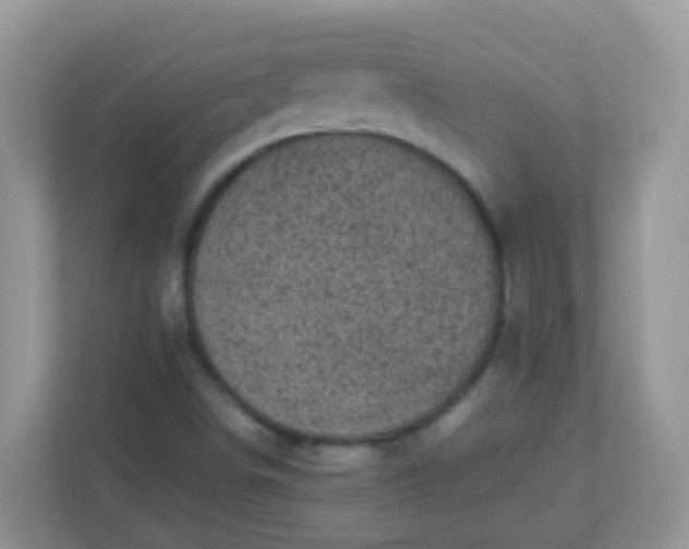 X0000113291498200909281001