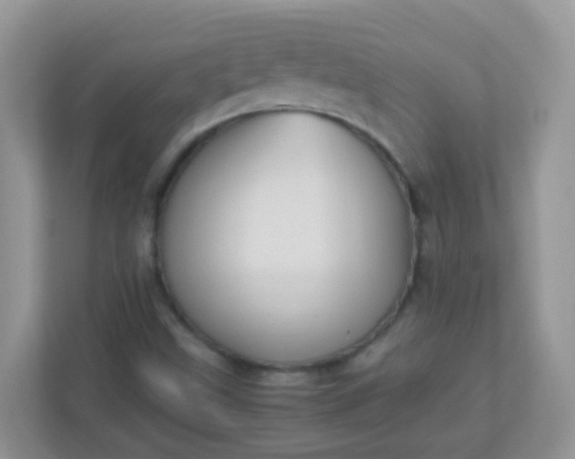 X0000113291499200909281001