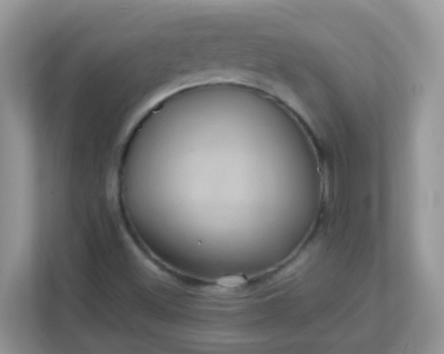 X0000113291500200909281001