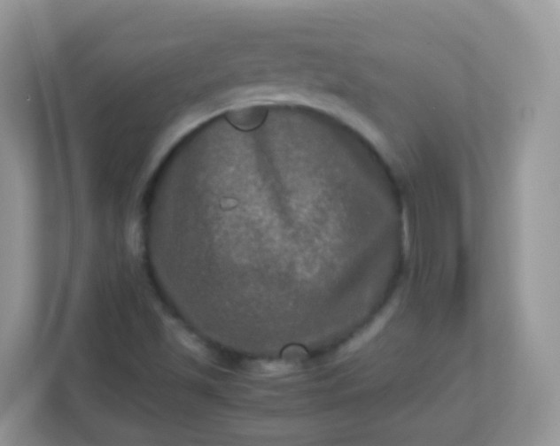 X0000113291501200909281001