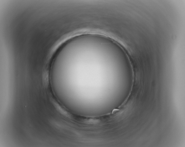 X0000113291503200909281001