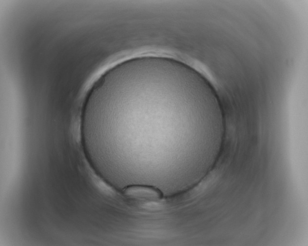 X0000113291504200909281001