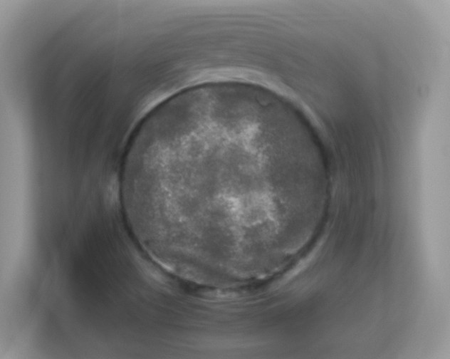 X0000113291505200909281001