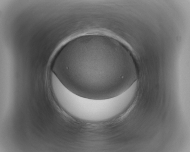 X0000113291506200909281001