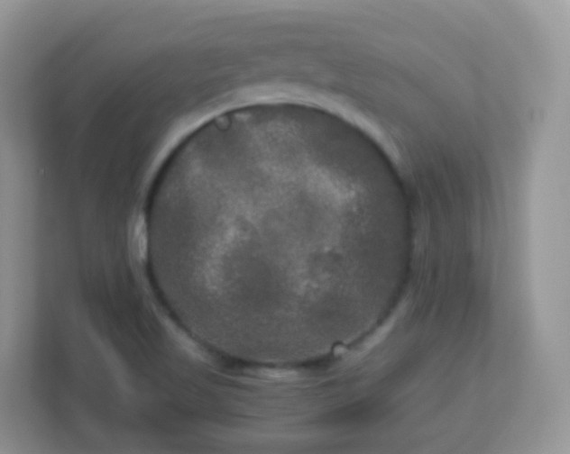 X0000113291509200909281001