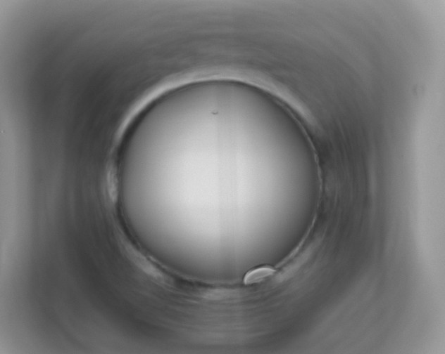 X0000113291510200909281001