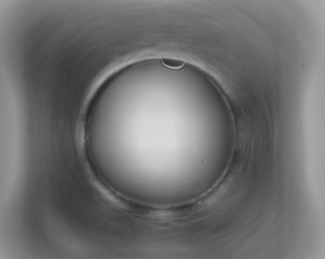 X0000113291511200909281001