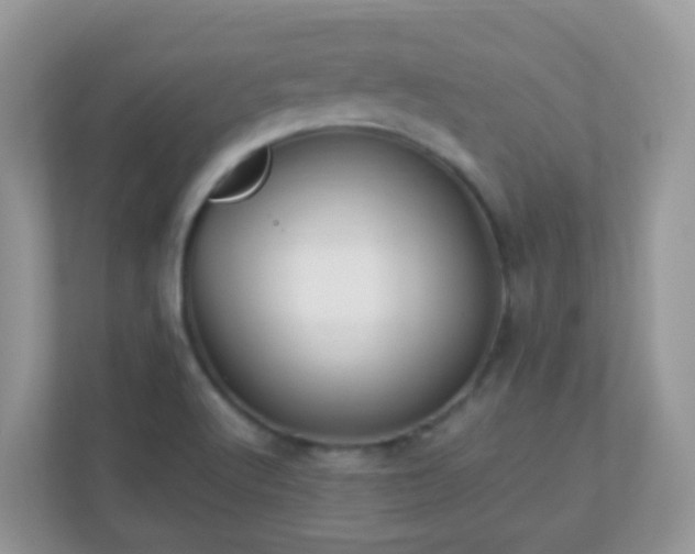 X0000113291512200909281001