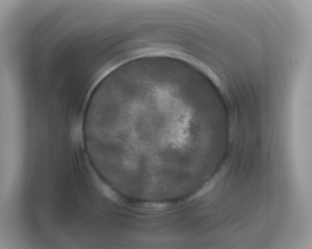 X0000113291513200909281001