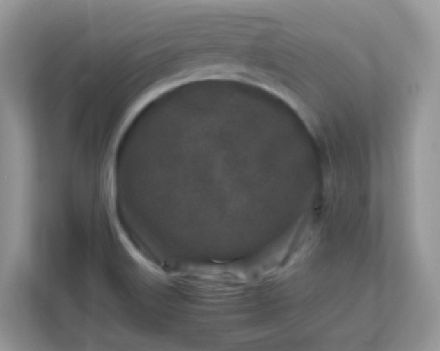 X0000113291515200909281001