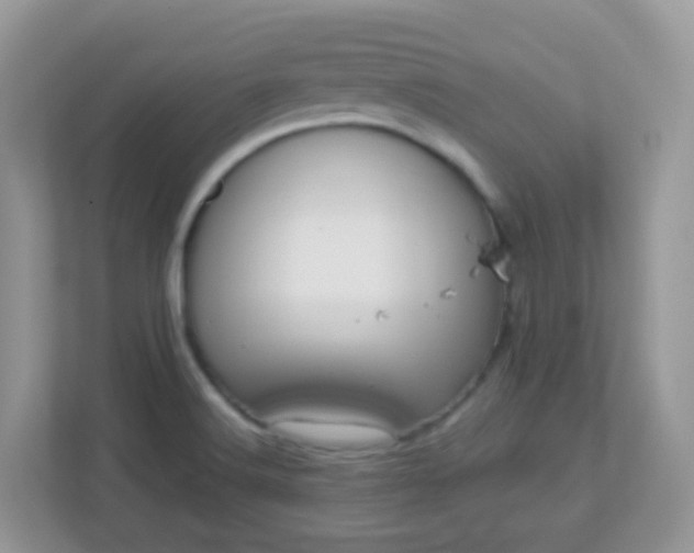 X0000113291516200909281001