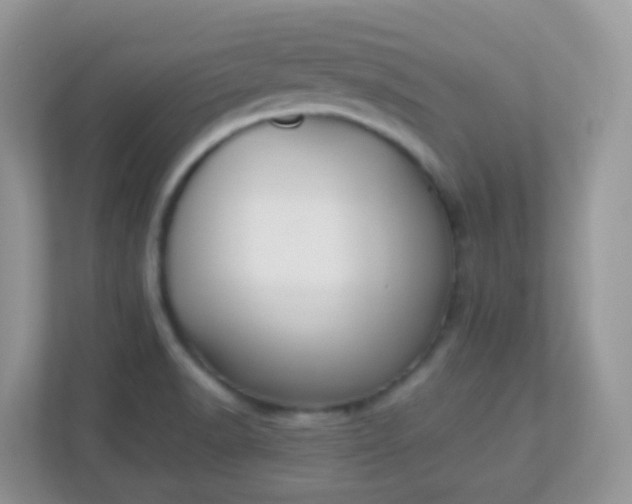 X0000113291518200909281001