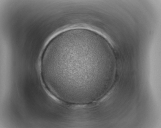 X0000113291519200909281001