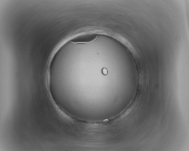 X0000113291520200909281001