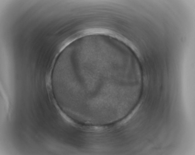 X0000113291521200909281001