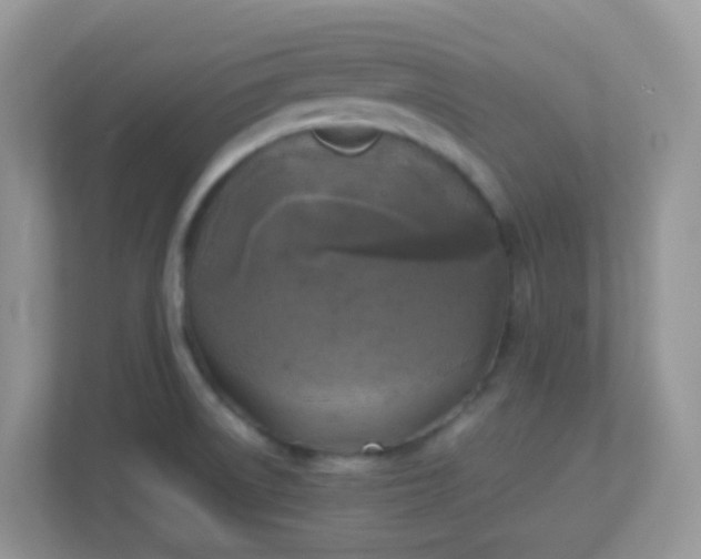 X0000113291522200909281002