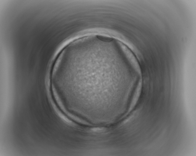 X0000113291523200909281002