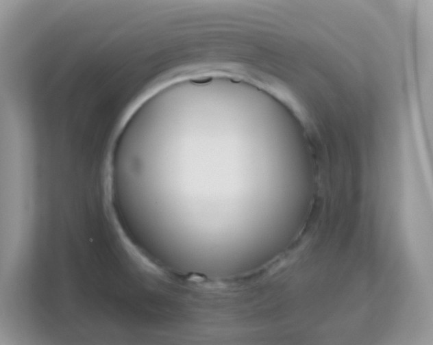 X0000113291524200909281002