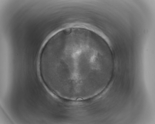 X0000113291525200909281002