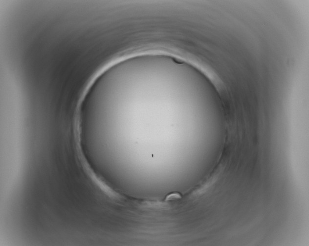 X0000113291526200909281002