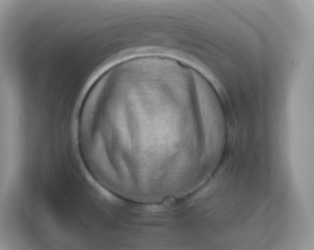 X0000113291527200909281002