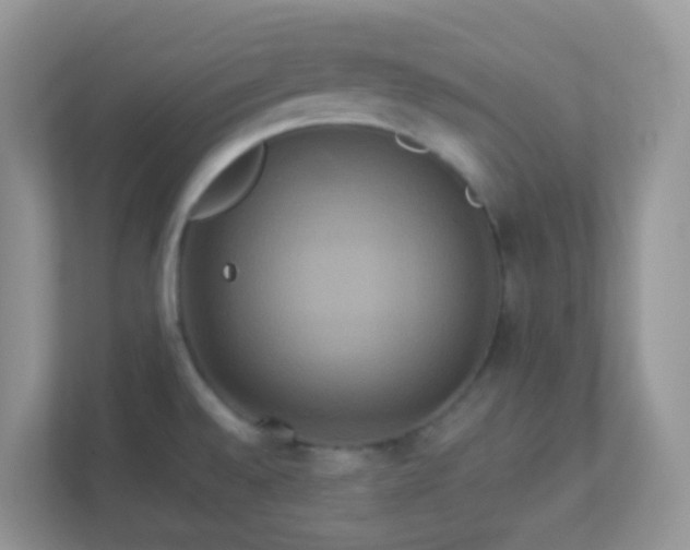 X0000113291528200909281002