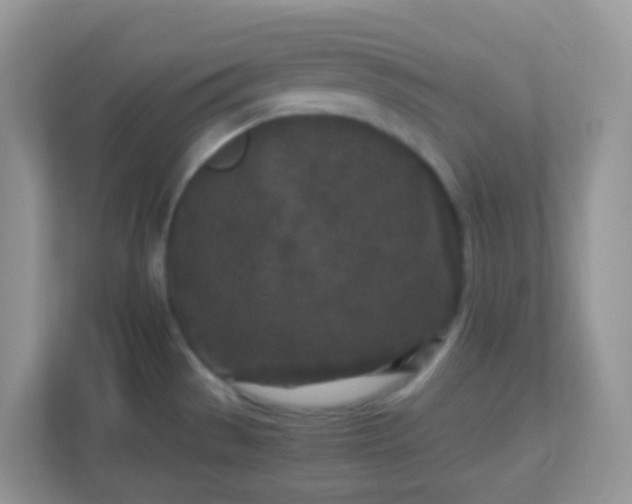 X0000113291529200909281002