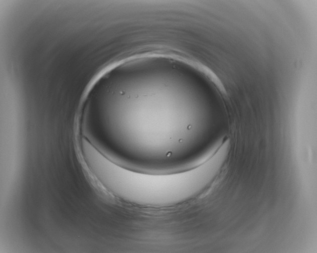 X0000113291530200909281002