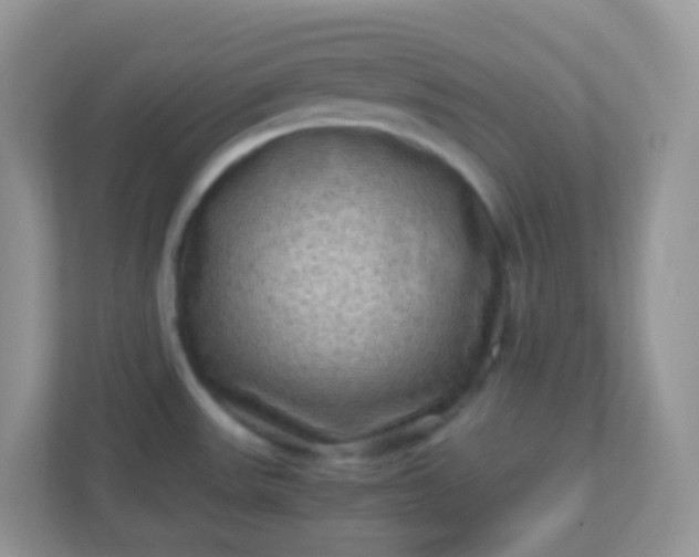 X0000113291531200909281002