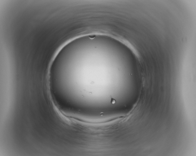 X0000113291532200909281002