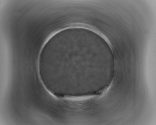 X0000113291533200909281002