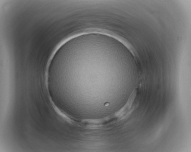 X0000113291535200909281002