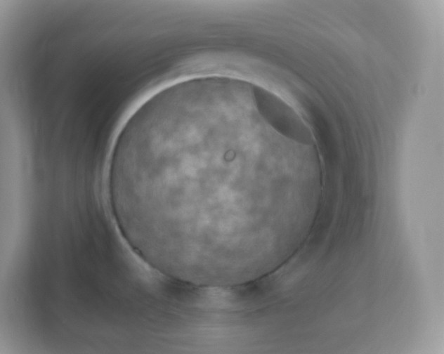 X0000113291536200909281002