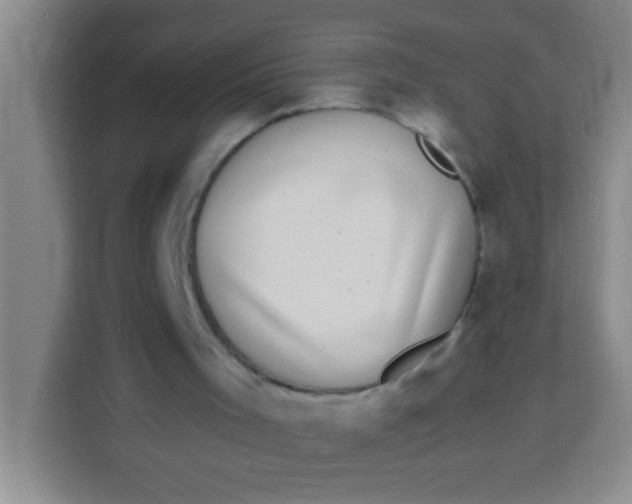 X0000113290001200910051110