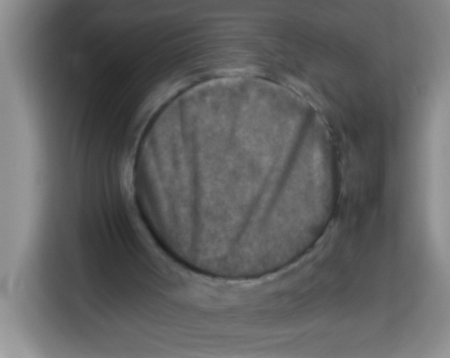 X0000113290002200910051110